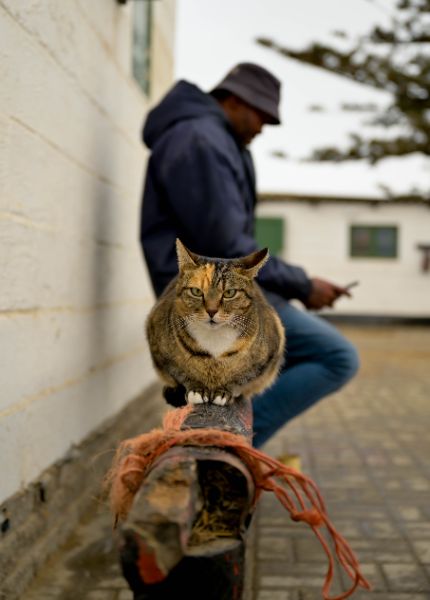 Highlights (7 of 231)_resized.jpg